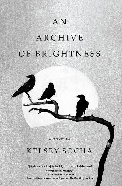 An Archive of Brightness by Kelsey Socha